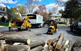 Leaf Removal Services in Alma, MI